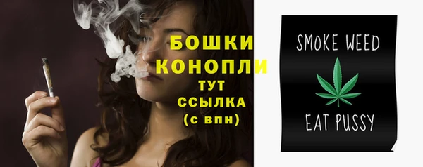соль ск Богданович