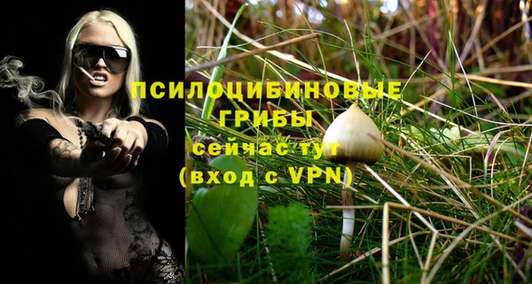 соль ск Богданович