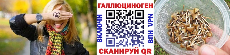 Галлюциногенные грибы GOLDEN TEACHER  Купить закладки  Вихоревка 