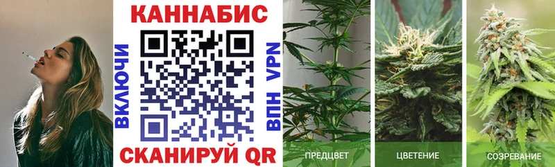 Конопля Bruce Banner  Купить где  Вихоревка 
